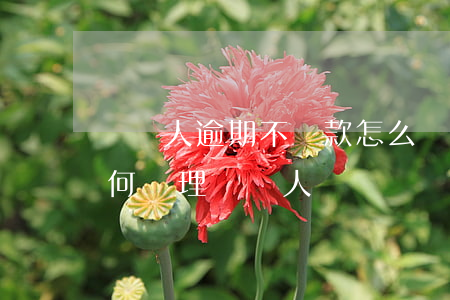 債務人逾期不還款怎么處理，逾期未還債，該如何處理債務人？